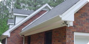 The soffit areas with gutter on them are the gutter runs.